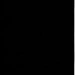 Elbe Gewapende Zwembadfolie ZWART 165cm