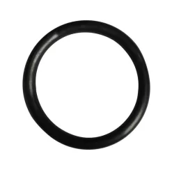 Onderwaterlamp O-Ring (Astral)