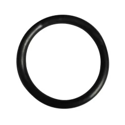 Onderwaterlamp O-Ring (Hayward )